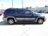 2003 Isuzu Ascender - Image 2