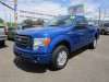 2010 Ford F-150 - Image 1