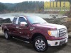 2010 Ford F-150 - Image 1