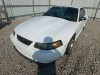 2000 Ford Mustang - Image 2