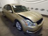 2004 Nissan Maxima - Image 1