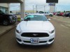 2016 Ford Mustang - Image 3