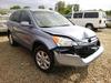 2009 HONDA CR-V EX-L - Image 1