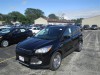 2016 Ford Escape - Image 3