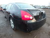 2006 NISSAN MAXIMA SE/ - Image 3