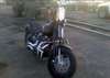 2009 Harley-Davids FLSTSB - Image 1