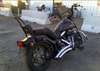 2009 Harley-Davids FLSTSB - Image 4