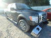 2009 FORD F150 - Image 1
