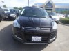 2013 Ford Escape - Image 2