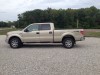 2010 Ford F-150 - Image 1
