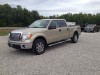 2010 Ford F-150 - Image 2