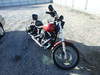1999 HARLEY-DAVIDS FXDX - Image 1